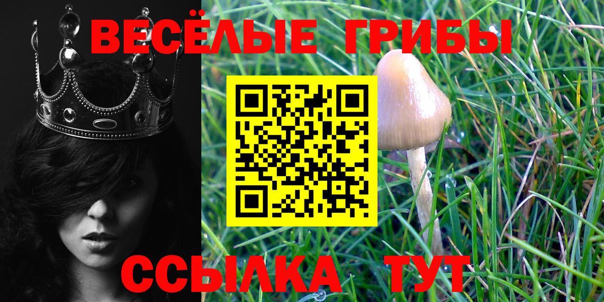Лесозаводск  как найти закладки  Вход с VPN  Псилоцибиновые грибы GOLDEN TEACHER 